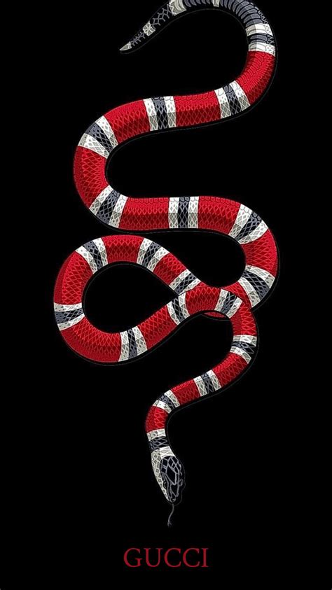 maglietta serpente gucci|snake in Gucci.